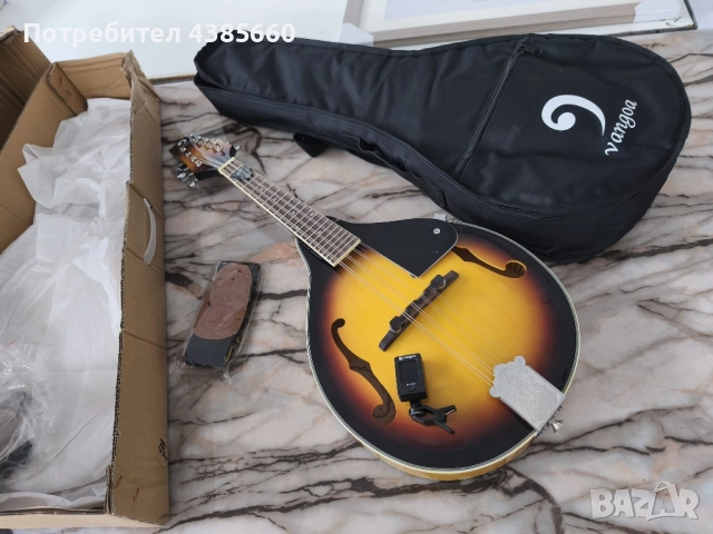 Мандолина, снимка 5 - Струнни инструменти - 52485493