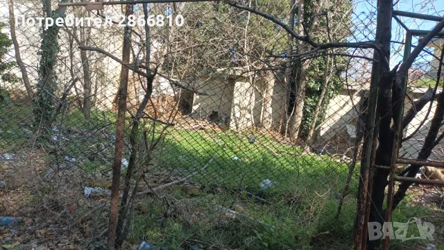 Почистване и Засаждане , снимка 1