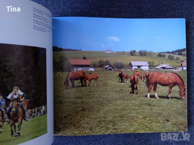 Сувенир Швейцария | Schweiz Suisse Switzerland Suiza Souvenir, снимка 5 - Други ценни предмети - 52525614