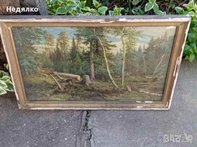 И.Шишкин,Рубка леса, картина, репродукция,1965г, снимка 8 - Антикварни и старинни предмети - 40356347