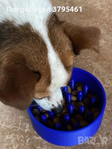 Купички за бавно хранене, снимка 2 - За кучета - 51457748