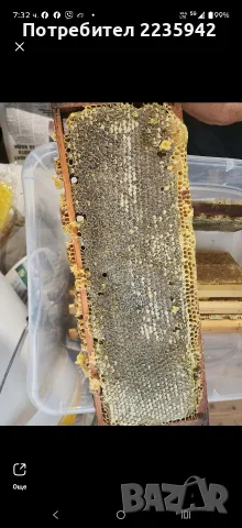 Домашен пчелен мед, снимка 7 - Пчелни продукти - 55946208