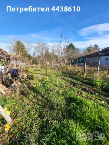 с. Малина, Общ. Ген. Тошево, къща с двор – 25053евро (49000лв.), снимка 13 - Къщи - 52546569