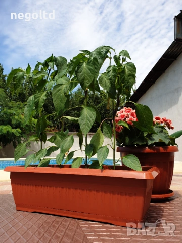 Пластмасово сандъче за цветя!САНДЪК 50 см за цветя! ПРОМОЦИЯ: 5 сандъка+5 подложки само за 19.90, снимка 4 - Саксии и кашпи - 35661866