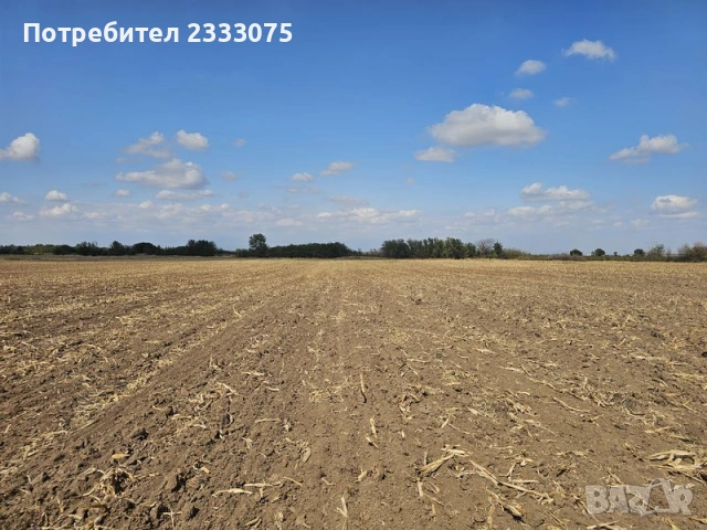 Продавам 25 дка земя в землището на с. Боянци, обл. Пловдив, снимка 3 - Земеделска земя - 53530308