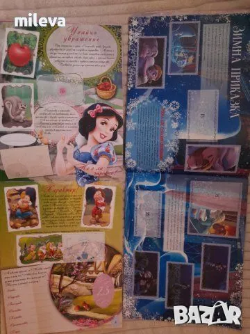 Колекционерски албумчета монстър хай и принцесите , снимка 10 - Колекции - 48876535