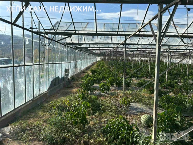 Оранжерия за продажба, снимка 3 - Земеделска земя - 52376873