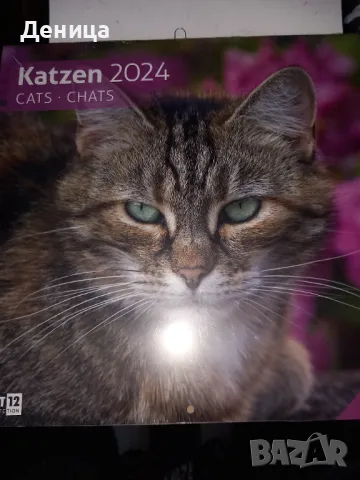 Нов календар, снимка 1