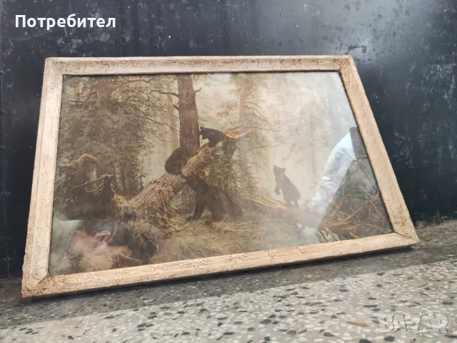 Картина "Утро в боровата гора", снимка 3 - Картини - 48459114