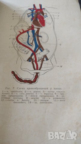 Детские болезни, снимка 2 - Специализирана литература - 41339285