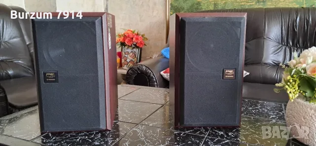 Hi-Fi тонколони Pioneer S-F21