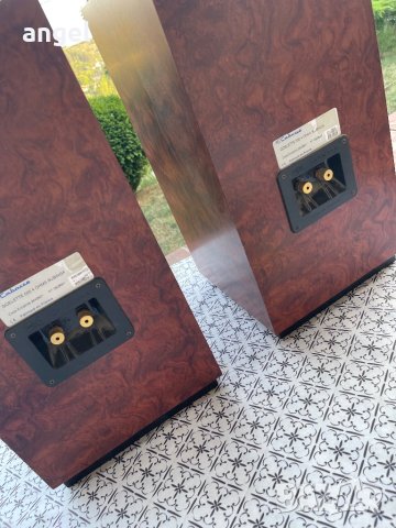 Cabasse, снимка 5 - Тонколони - 41893791