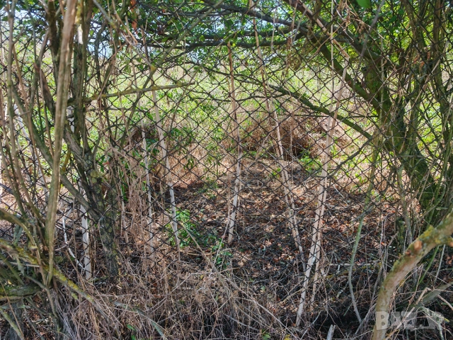 Продава се дворно място 2000м² , снимка 7 - Парцели - 51712104