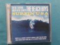 The Beach Boys(Beat) -8CD(Remaster,Mono + Stereo), снимка 11