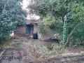 с. Пчеларово, обл. Добрич Къща с двор – 22000евро!, снимка 10