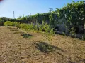 🏡 ПРОДАВА СЕ ВИЛА КРАЙ ЧЕРВЕН БРЯГ – 90 КВ.М. + 1000 КВ.М. ДВОР, снимка 8