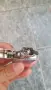 Запалка Zippo Come to where the flavor is, снимка 5