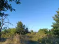 Земеделска земя в село Равна гора област Варна община Аврен, снимка 2