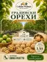 Млечни градински орехи - директно от производител 2026, снимка 1