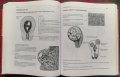 Гинекология Д. М. Харт, Дж. Норман /Руски език/, снимка 8