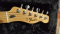 Електрическа Китара Fender Telecaster Player Series с адаптери Lollar Pickups, снимка 4