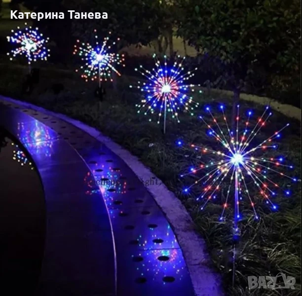 Соларно глухарче, снимка 1