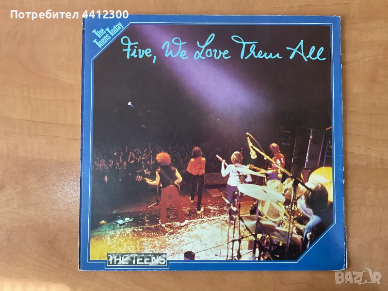 Грамофонни плочи 12”, снимка 1