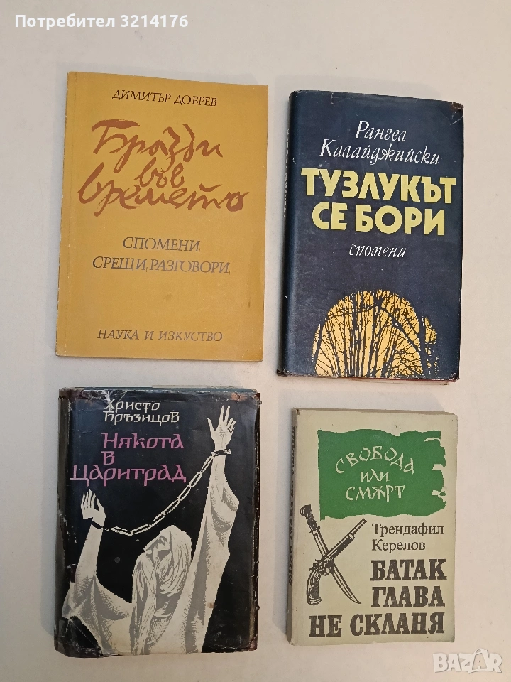 Някога в Цариград. Българска хроника - Христо Д. Бръзицов, снимка 1