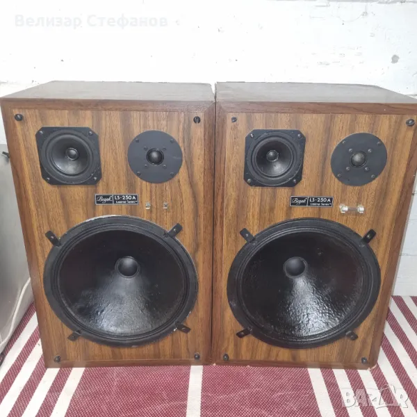 Американски Тонколони Boznak SL-250A, снимка 1