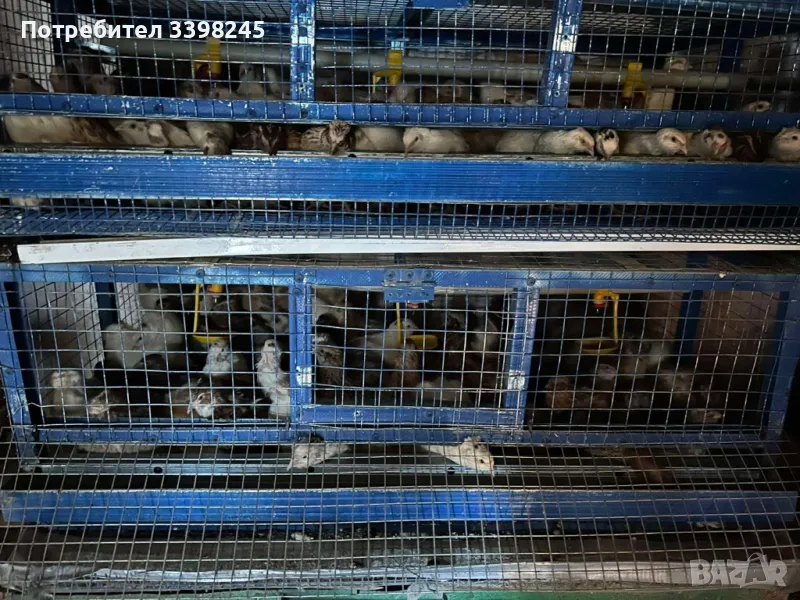 Продавам пътпъдъци, снимка 1