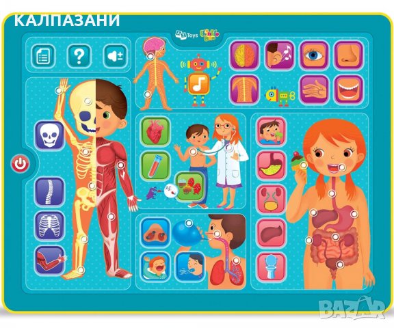 ОБРАЗОВАТЕЛЕН ТАБЛЕТ ЧОВЕШКОТО ТЯЛО 331151, снимка 2 - Образователни игри - 34655022