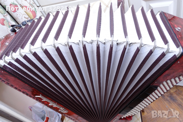 Акордеон Роял Стандард Метеор 120 баса, снимка 9 - Акордеони - 36193898