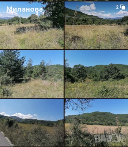 Продавам земеделска земя с.Гюешево., снимка 8 - Земеделска земя - 50913537