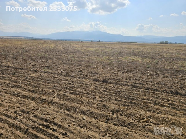 Продавам 25 дка земя в землището на с. Боянци, обл. Пловдив, снимка 4 - Земеделска земя - 53530308