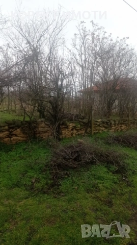 ПРОДАВА парцел УПИ в с. Панайот Влолово, снимка 2 - Парцели - 53643864