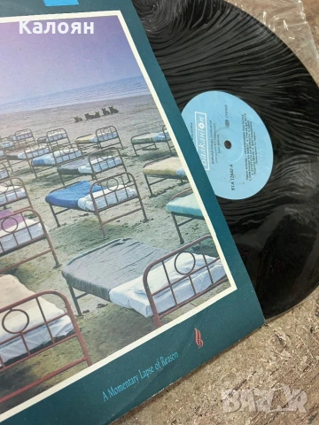 Грамофонна плоча - Pink Floyd - A momentary lapse of reason, снимка 2 - Грамофонни плочи - 51365441