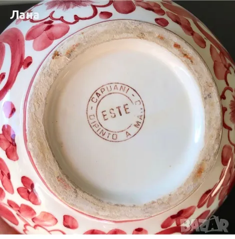 Италианска кана , снимка 7 - Други - 46938638