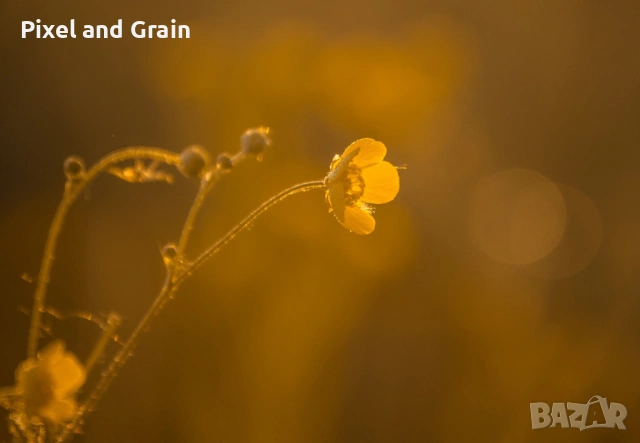 Nikon AF-S 55-200mm f/4-5.6G ED VR обектив Никон, снимка 15 - Обективи и филтри - 53671254