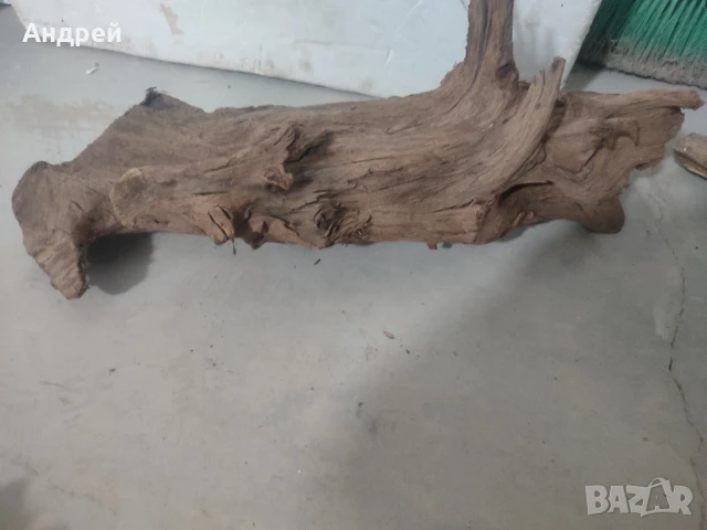 Огромни Мангров корен 50+см. 60 - 85лв. , снимка 13 - Оборудване за аквариуми - 51042014