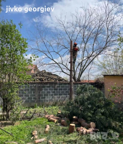 рязане  премахване на опасни дървета , снимка 2 - Други услуги - 50263409