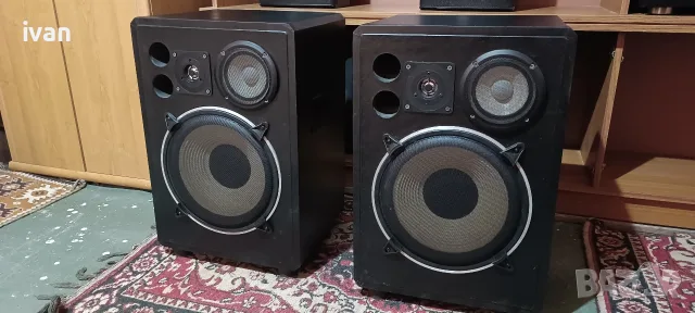 Тонколони 12 инча Braun, снимка 3 - Тонколони - 56335950