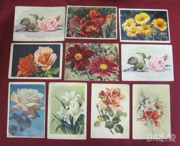 Пощенски Картички с Цветя, снимка 2 - Филателия - 42339573