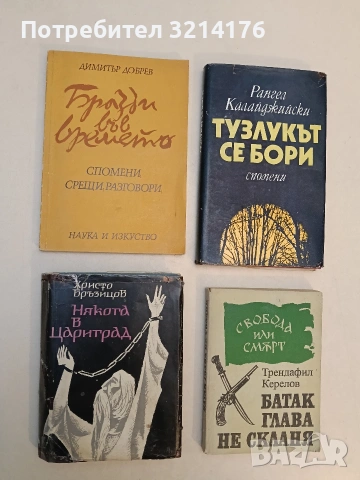 Някога в Цариград. Българска хроника - Христо Д. Бръзицов, снимка 1 - Специализирана литература - 52990459