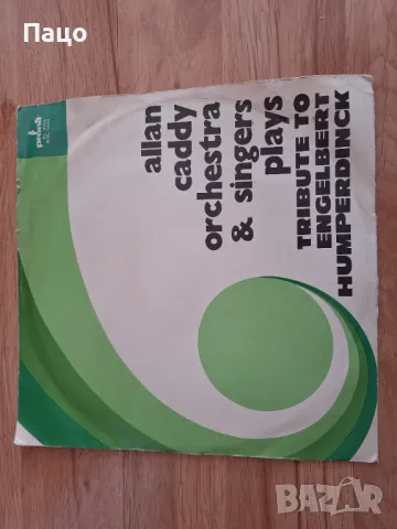 ПОЛША ПЛОЧА