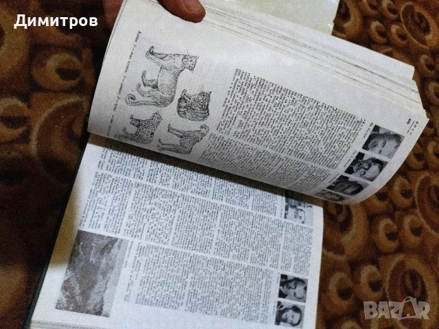 Енциклопедия , снимка 3 - Енциклопедии, справочници - 50589747