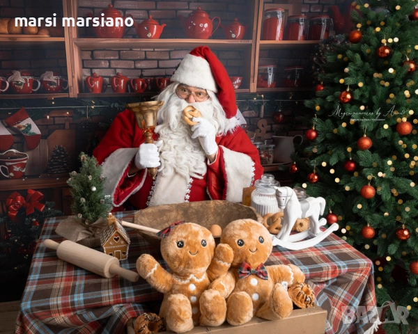 Дядо Коледа покани у дома София, снимка 9 - Детегледачки, детски центрове - 52232334