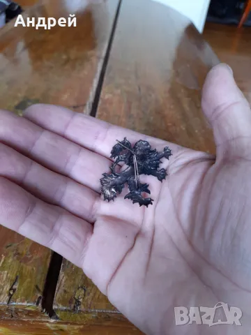 Стара кокарда,лъв,лъвче #3, снимка 3 - Други ценни предмети - 50254252