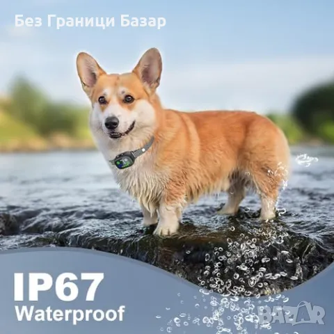 Нов Анти-лай нашийник за малки кучета, вибрация и звуков сигнал Хуманен, снимка 6 - За кучета - 47946146