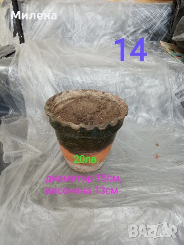 Саксии, снимка 12 - Саксии и кашпи - 53650030