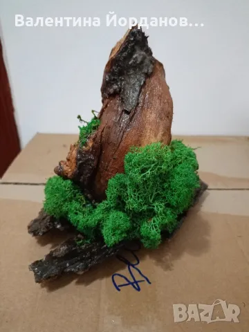 декорация със естествени материали и скандинавски мъх , снимка 4 - Декорация за дома - 49609489